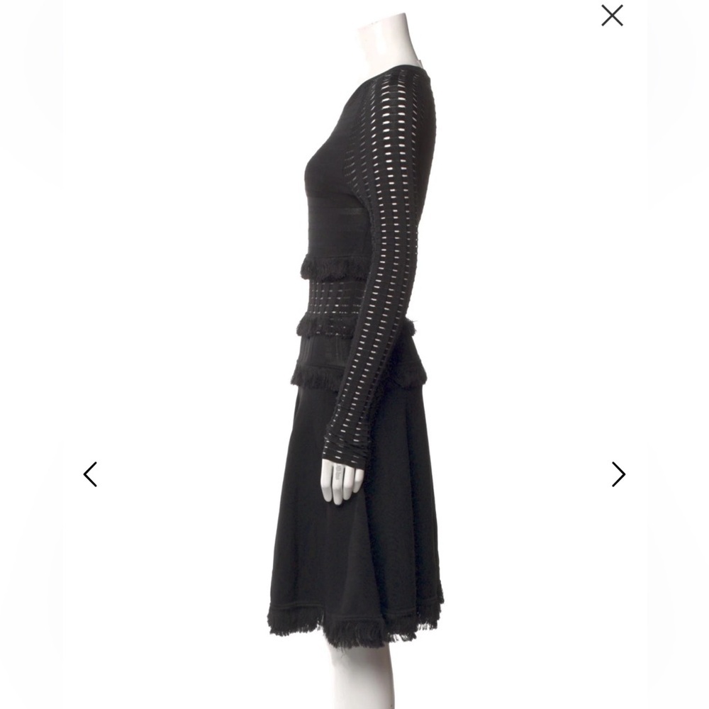 Jason Wu Fringe Mesh Long Sleeve A-line Holiday Dress - Picture 3 of 7